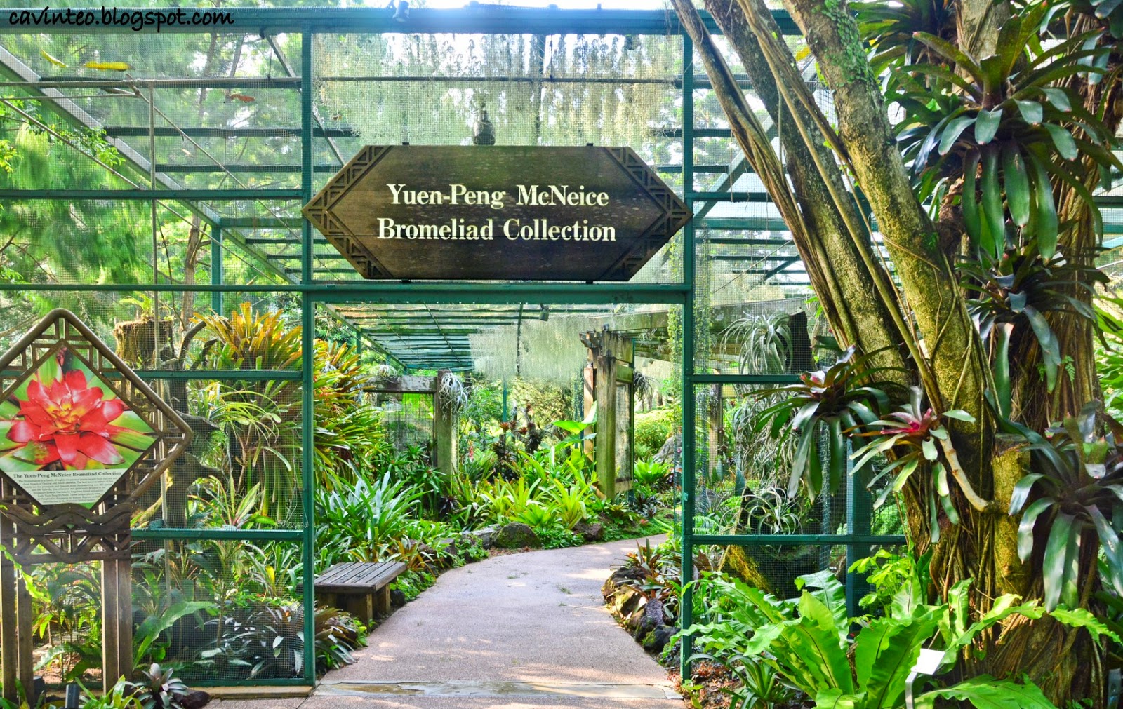 * VIP Orchid Garden, Ботанический сад Сингапура